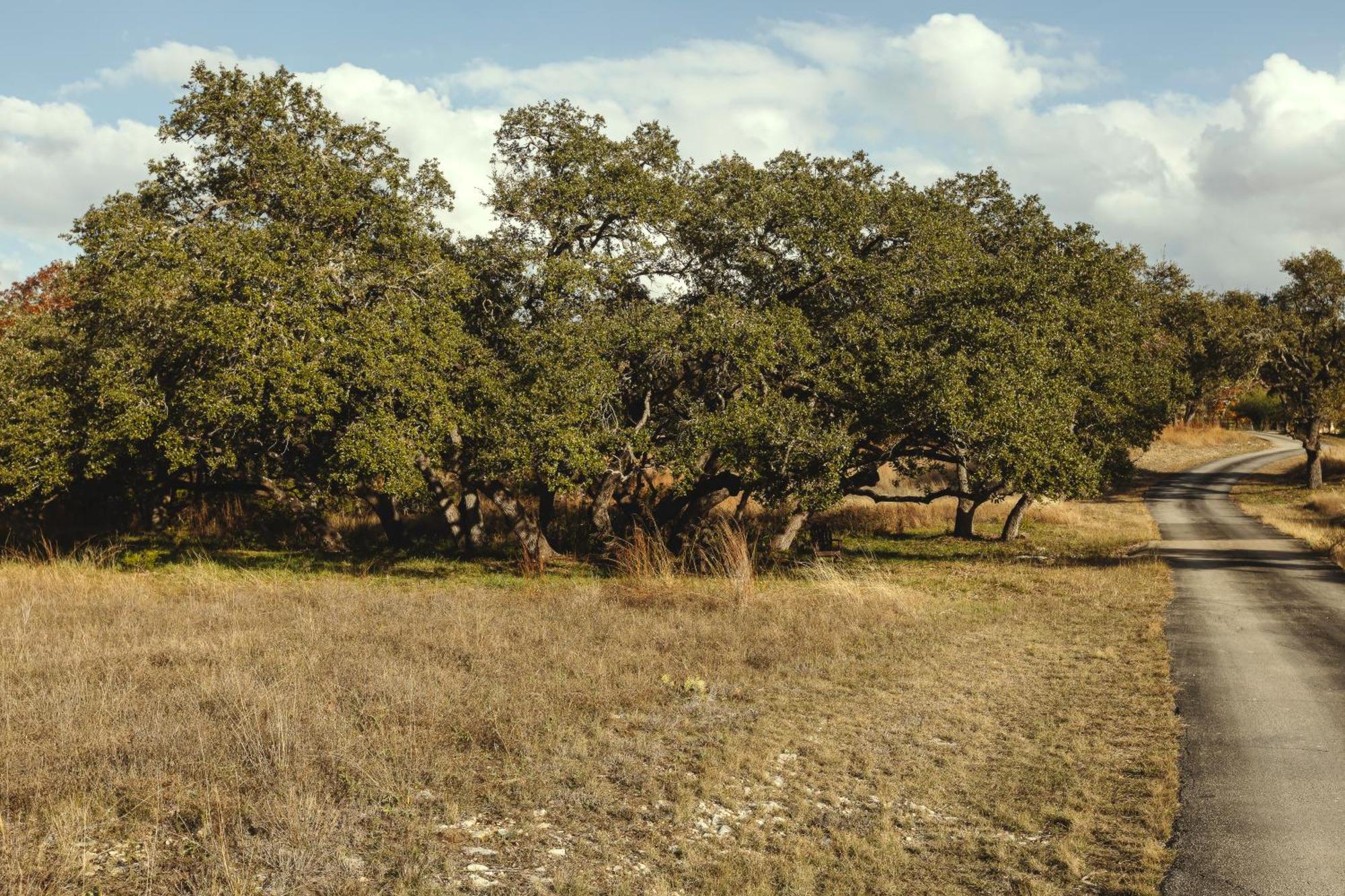 Blair House Inn And Spa Wimberley Exterior photo